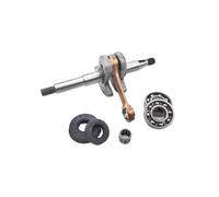HAZIEC Kit di guarnizioni for Cuscinetti a Sfere, Cuscinetti ad Aghi e paraolio for Albero Motore Adatti for potatore G2500 Tipo 25cc 2500 2600 26cc