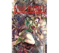 Hazuki Minase Final Fantasy Lost Stranger, Vol. 9 (Tascabile)