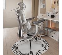 Hbada E3 Pro Sedia Ufficio e Scrivania Ergonomica, con Supporto Lombare Dinamico a 3 Zone, Testiera Regolabile 4D, Braccioli Regolabili 6D (E3 Pro, Gray)