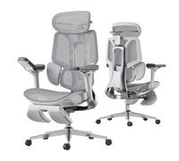 Hbada E3 Pro Sedia Ufficio Ergonomica, Sistema Lombare Dinamico a 3 Zone, Braccioli Regolabili 6D, Testiera con Regolazione 4D, Grigio con Poggiapiedi