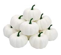 HBell 12 piccole zucche artificiali realistiche, raccolte autunnali, mini zucche per casa, giardino, decorazione autunnale, festa del Ringraziamento o decorazione di Halloween (bianco)