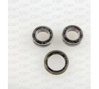 HBK5076.00 OPEN PARTS Kit cuscinetto ruota per FORD,MAZDA
