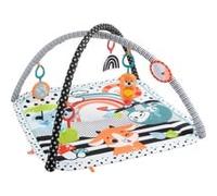 Fisher-Price HBP41 palestra per bambino e tappeto di gioco Multicolore Palestrina a tappeto per bambino