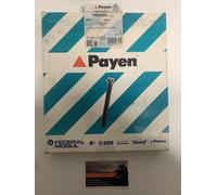 HBS359 PAYEN SERIE BULLONI TESTATA CITROEN-MINI-FORD-TOYOTA-VOLVO-PEUGEOT-FIAT