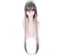 HBYLEE - 100 cm sintetico Vocaloid argento grigio nero parrucca lunga da donna capelli lisci anime Cosplay parrucche intrecciate per costume di Halloween festa grigio ombre[Colore: grigio ombre]