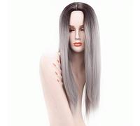 HBYLEE - Alta qualità 26 pollici dritto lungo nero grigio ombre parrucca capelli sintetici parte centrale anime naturali Cosplay parrucche per le donne nero grigio[Colore: grigio nero]