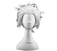 HBYLEE - Anime Coser pruik Destino Rimanete notte Go Extra Archer Emiya Cosplay parrucche corte argentate bianche resistenti al calore + parrucca [Colore: Onecolor]