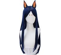 HBYLEE Anime Coser pruik Gioco Arknights Dobermann Cosplay parrucca blu scuro capelli lunghi, Cosplay ragazza parrucca blu scuro parrucca lunga parrucca sintetica capelli [Colore: Onecolor]