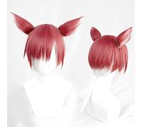 HBYLEE HGLLL AniCosplay Wig, XIV FF14 G'raha Tia Cosplay Wig,with ears Long Wig,with Free Wig Cap for Christmas Carnival Party Halloween Cosplay Wig (colore :Style 1) [Colore: secondo il piano]