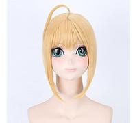 HBYLEE - Parrucca cosplay per uso quotidiano, Fate Stay Night Saber Mixed Gold Plate Hair Version, colore nero Pl-013-1 Gold
