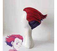 HBYLEE Parrucca Cosplay Wig, per Hunter Hunter Hisoka, parrucca sintetica con cappuccio gratuito, costume di Halloween, feste di tutti i giorni, cosplay (Red Purple Short Wig) [Colore: secondo il