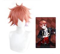 HBYLEE - Per cosplay Twisted-Wonderland Floyd Jade Idia Shroud Epel Felmier Lilia Vanrouge Ace Trappola Riddle Rosehearts Cater Diamond Cosplay Wigs Ace Trappola