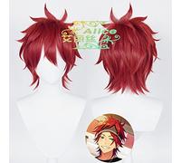 HBYLEE - Per cosplay Wig Anime Cosplay Idol ES Fantasy Sacred Qi Queue Yong Lei Ou Ren Bunny on The Bai Bird Blue COS Pseudo