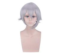 HBYLEE - Role Play for Fgo Long Lin Wang Wig Silver Gray Hair Wig Fate Grand Order Apocrypha Cosplay Wig 35 cm [Colore: grigio argento]