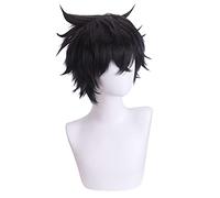 HBYLEE Role Play Wig For Tate no Yuusha no Nariagari Iwatani Cosplay Wigs Short Black Anime Wig [Colore]