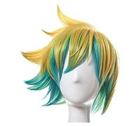 HBYLEE Wig Anime Cosplay Ezreal Anime Cosplay Parrucca Cosplay Fibra resistente al calore Capelli Corti Ricci Parrucca piena per costume Parrucca piena di rose grigie blu [Colore: Onecolor]