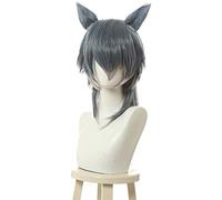 HBYLEE Wig Anime Cosplay KEEBON Beastars Legoshi Cosplay Parrucche Wolf Mix Grigio Corto Uomo Cosplay Parrucca con Orecchie Helloween Capelli sintetici resistenti al calore [Colore: Onecolor]