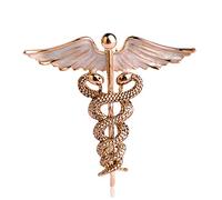 hcma Infermiera Day Gift Double Snake Shape Caduceus Medical Pin Badge Angel Wing Nurse Vintage Brooch