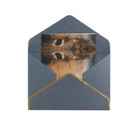 HCVXBSA Biglietti vuoti a vista a volo d'uccello con buste per tutte le occasioni, nota scintillante di alta qualità per compleanno, Natale, matrimonio, 10,2 x 15,2 cm