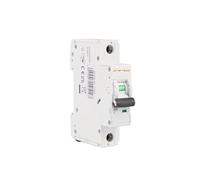 HCVYQMMJ Interruttore Automatico in Miniatura 1P Protezione da cortocircuito e sovraccarico CA Montaggio su Guida DIN 35 mm 6-63 A 220 V 230 50/60 Hz(6 Years)