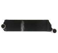 HD+ Internazionale/Navistar Charge Aria Raffreddamento 39.69 " X 11.43”x 3.86” (