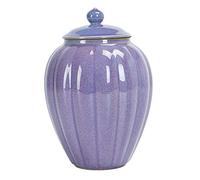 HDBCYUAZ Zuccheriera Barattolo di stoccaggio di ceramica famoso in ceramica Grande barattolo sigillato da un sterlina for stoccaggio for la casa di tè e caffè zucchero ciotola(C)