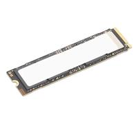 HDD_BO TS 2T PCIe G5 M.2 2280 SSD - Nouvo