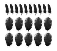 HDGSAFD 10 Pezzi di Piume di Struzzo E 10 Pezzi di Piume D'Oca, Piume Nere, Piume Fatte A Mano, Ornamenti di Piume.