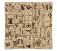 HDGSAFD 112 Fogli di Adesivi con Scheletro Umano, Adesivi per Studenti di Medicina per La Decorazione, Adesivi Decorativi per Album Fai da Te, Adesivi Impermeabili