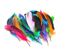 HDGSAFD 50 pezzi piume colorate, bastoncini di piume, decorazioni artistiche, piume miste naturali, artigianato, accessori per gioielli, decorazioni fai da te