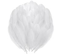 HDGSAFD 500 Piume Bianche, Materiali Artigianali Fai-da-Te, Piume Decorative, Possono Essere Utilizzate per Copricapi, Vestiti, Maschere, Mazzi di Fiori, ECC.