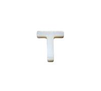 HDJSDB Perline di madreperla naturale con lettera maiuscola, 26 pezzi, in conchiglia bianca forata, accessori per gioielli, per braccialetti e collane fai da te - T (9 x 12 mm) - 5 pezzi