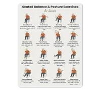HDKYSWBUEJ Low Impact Senior Workout Sign Seated Chair Exercise Chart for Elderly Gentle Fitness Guide Aluminum Home Wall-Art 8 X 12 inch