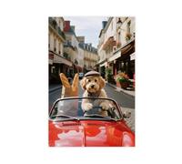 HDSDA Poster su tela con cane maltese che guida una decappottabile (1), decorazione per camera da letto, ufficio, stanza, regalo, 50 x 75 cm