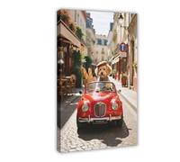 HDSDA Poster su tela con cane maltese che guida una decappottabile (2), decorazione per camera da letto, ufficio, stanza, regalo, 60 x 90 cm