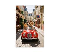 HDSDA Poster su tela, motivo: cane maltese che guida una decappottabile, decorazione artistica da parete per soggiorno e camera da letto, 40 x 60 cm