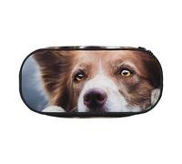 HDTVTV Border Collie marrone Bokeh Dio con occhi gialli Astuccio per matite, astuccio per penne, astuccio portatile con cerniera, astuccio per cosmetici