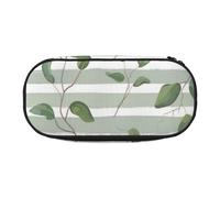 HDTVTV Dollaro d'argento verde eucalipto Astuccio per matite, astuccio per penne, astuccio portatile con cerniera, astuccio per cosmetici