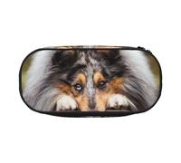 HDTVTV Rough Collie Bokeh Railway Cani Animali domestici Ruvido Astuccio per matite, astuccio per penne, astuccio portatile con cerniera, astuccio per cosmetici