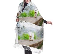 HDTVTV Sciarpa con nappe in finto cashmere, adatta per primavera, autunno e inverno, calda e morbida, coperta con sciarpa e nappe. Bichon Frise Park Pets Dogs Bichon Frise Dogs