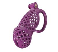 Hdynasty Gabbia Fitness da Uomo in Resina Viola con Cinque Anelli (Anelli ad Arco, A11Z)