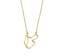 Hdyrpex Collana con ciondolo a forma di mappa di Israele e Giordania, per donne e uomini, in acciaio inox