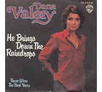 He Brings Down The Raindrops/Those Were The Best Years(7" Vinyl Single)(1978)(Warner Brothers Records WB 17102)