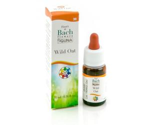 HE.WILD OAT GUN GTT 10ML F.BAC