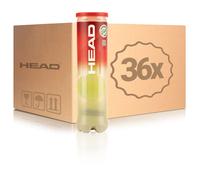 HEAD 36 tubi da 4 Championship Nel cartone