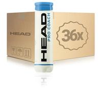 HEAD 36 tubi da 4 Pro Coach Nel cartone