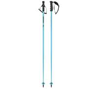 Head - Bastoncini da slalom - Worldcup SL Speed Blue in Alluminio - Taglia 130 cm