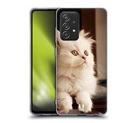 Head Case Designs Gattino Persiano Bianco Adorabile Razze di Gatti Preferite Custodia in Gel [Protezione di Grado Militare] Compatibile con Galaxy A52 / A52s / 5G (2021)