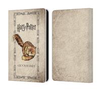 Head Case Designs Licenza Ufficiale Harry Potter Crookshanks Gatto Prisoner Of Azkaban III Custodia Portafoglio in Pelle Compatibile con Amazon Kindle 11th Gen (2024)