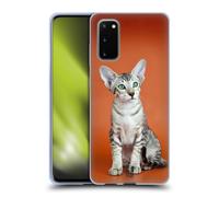 HEAD CASE RAZZE DI GATTI CUSTODIA COVER MORBIDA IN GEL PER SAMSUNG TELEFONI 1